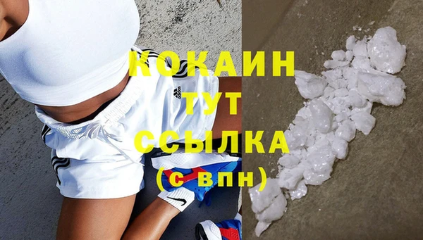 сатива Алзамай