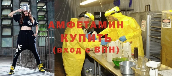 сатива Алзамай