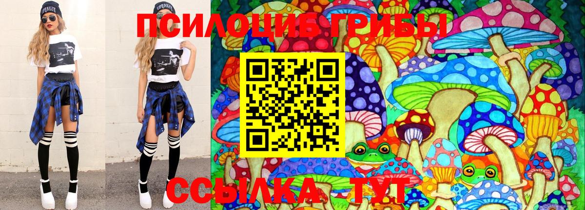 Галлюциногенные грибы Magic Shrooms  Вход с VPN  сколько стоит  Красноярск 