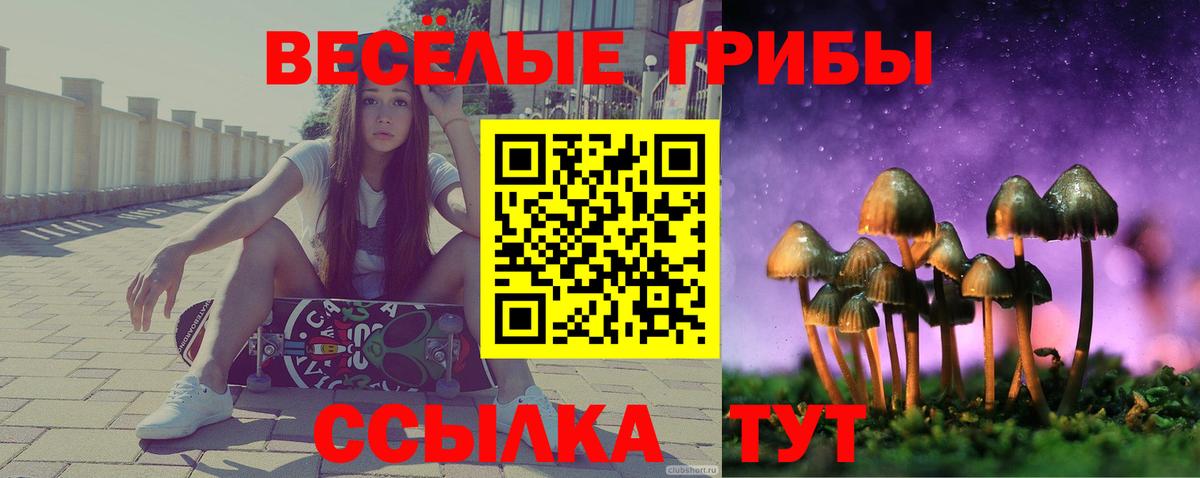 Псилоцибиновые грибы мухоморы Красноярск